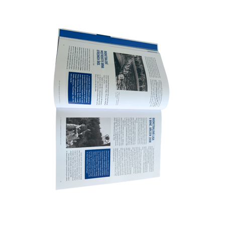 Kniha 100 LET BRNĚNSKÉHO BASKETBALU